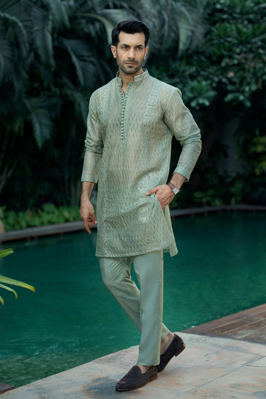 Pistachio Organza Kurta Pyjama